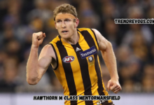 Hawthorn M Class MentorMansfield