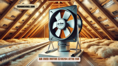 Air Over Motor E318204 Attic Fan