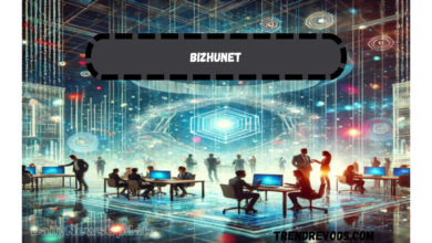 Bizhunet