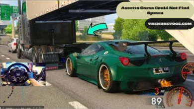 Assetto Corsa Could Not Find Spawn