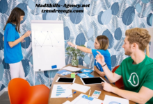 MadSkills-Agency.net