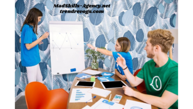 MadSkills-Agency.net