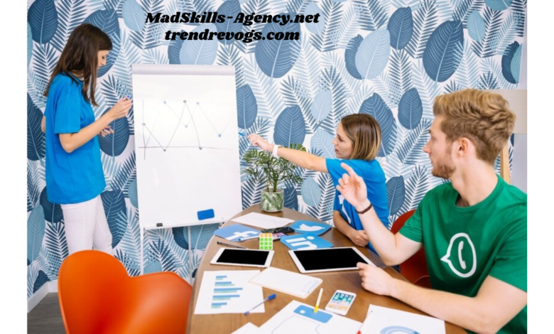 MadSkills-Agency.net